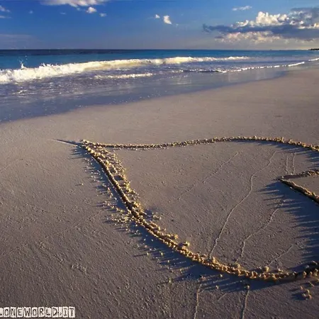 ホテル Niagara 3*